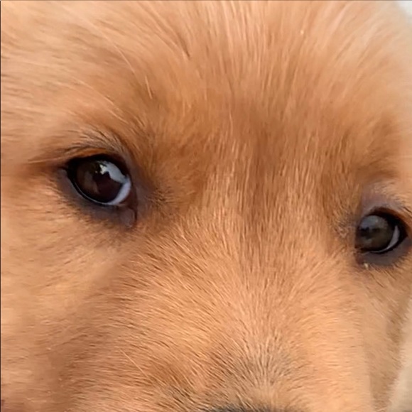 Meet your Posher, Kate - Picture 4 of 9